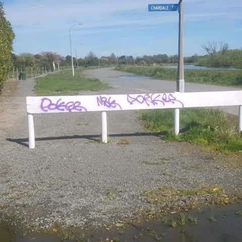 Graffiti — a report photo