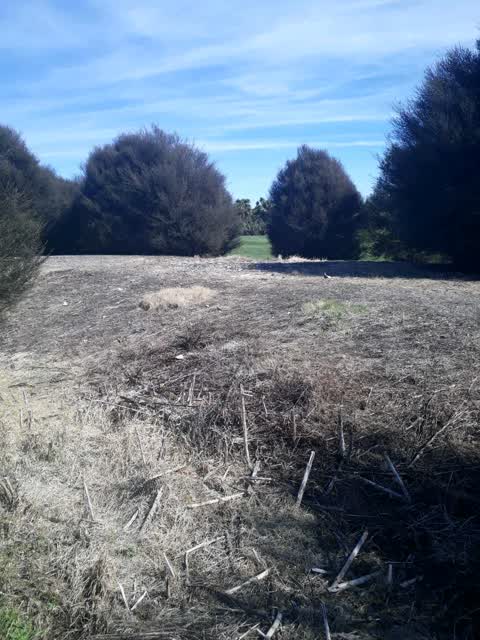 Parks, a report photo