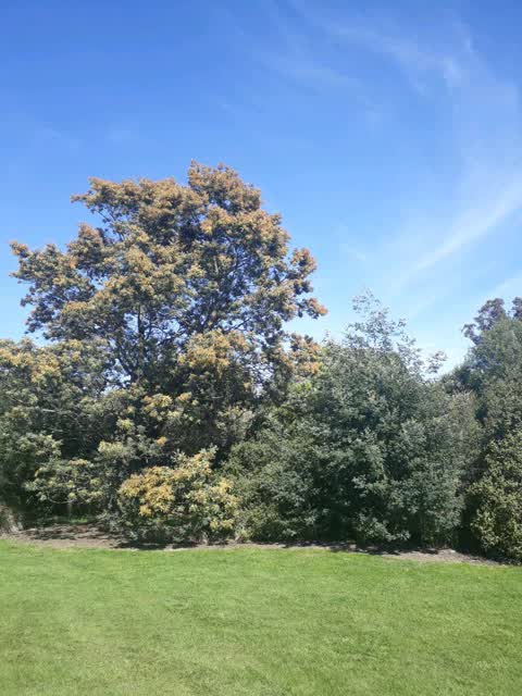Parks, a report photo
