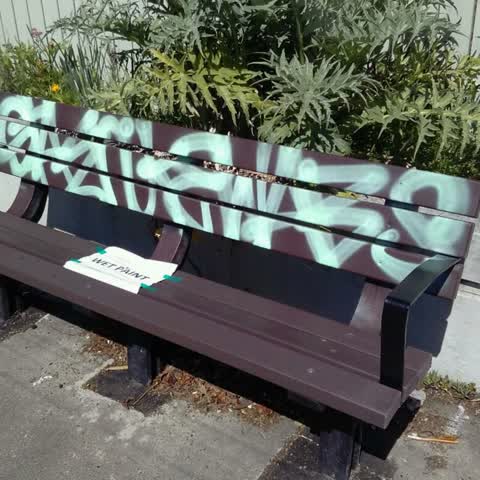 Graffiti, a report photo