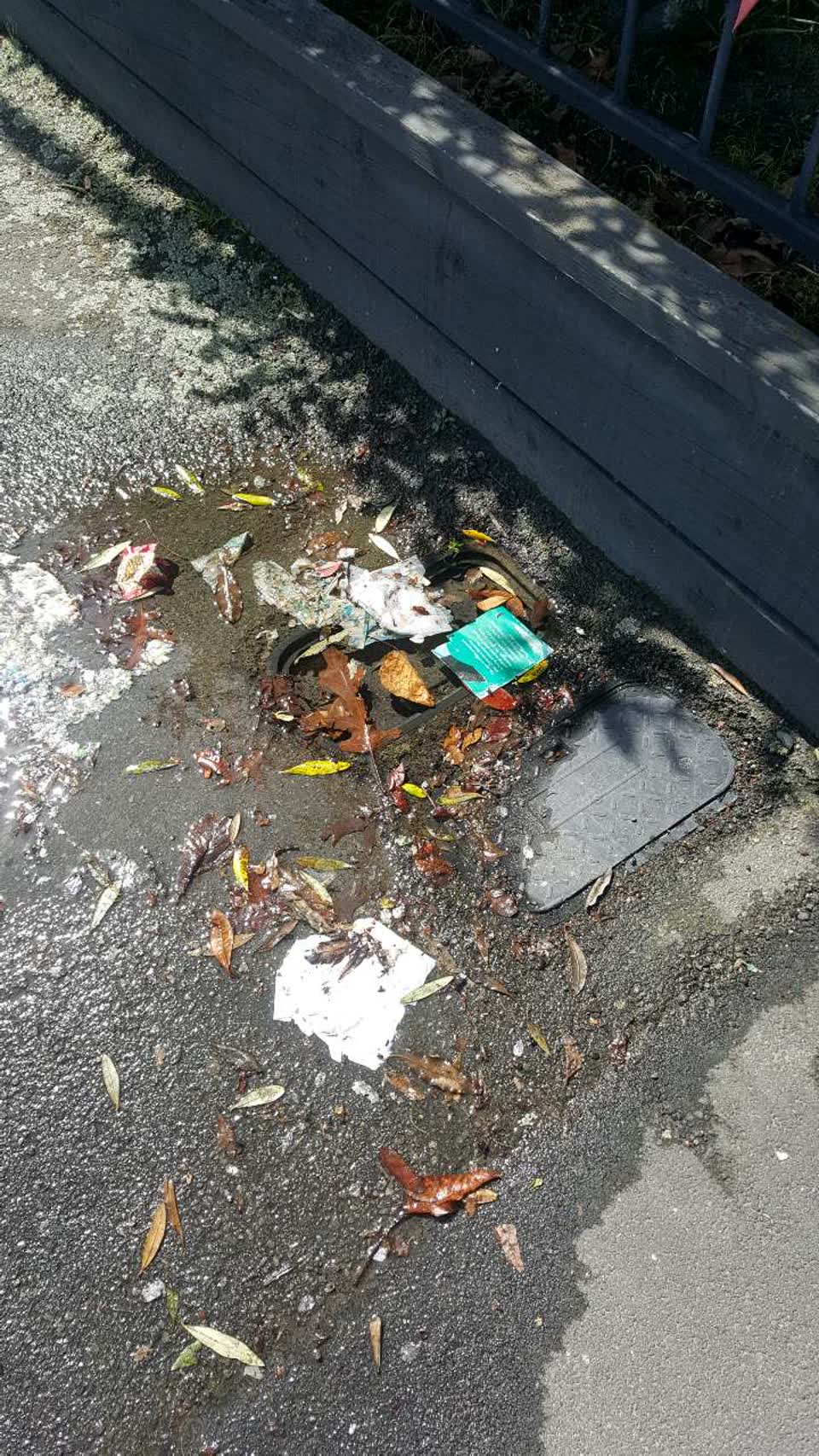 The photograph attached to this water supply report