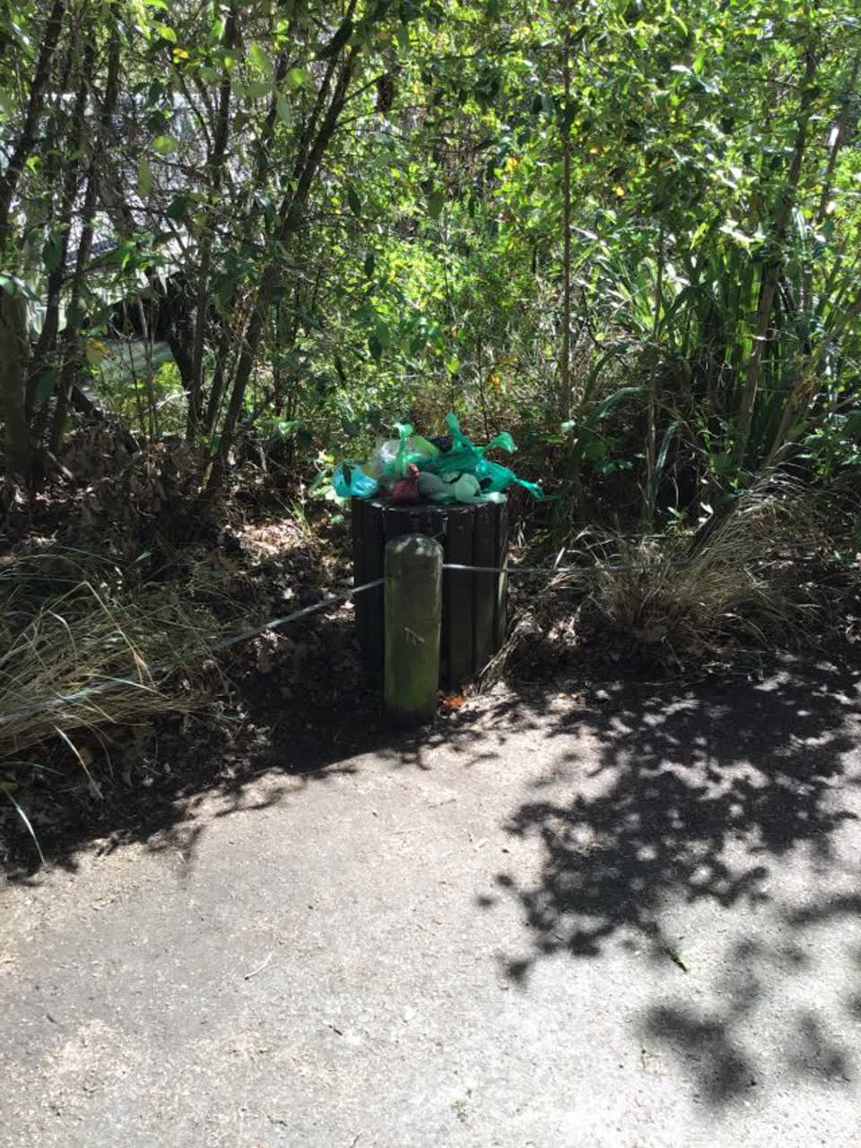 The photograph attached to this rubbish/recycling report