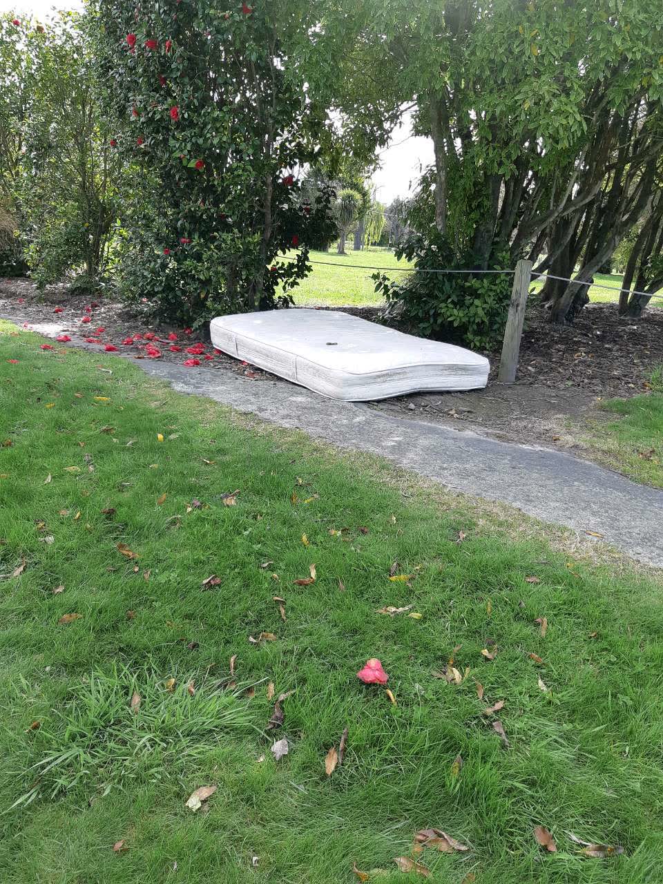 The photograph attached to this rubbish/recycling report
