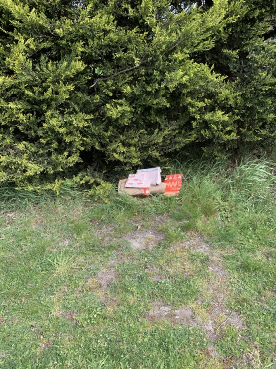 The photograph attached to this rubbish/recycling report