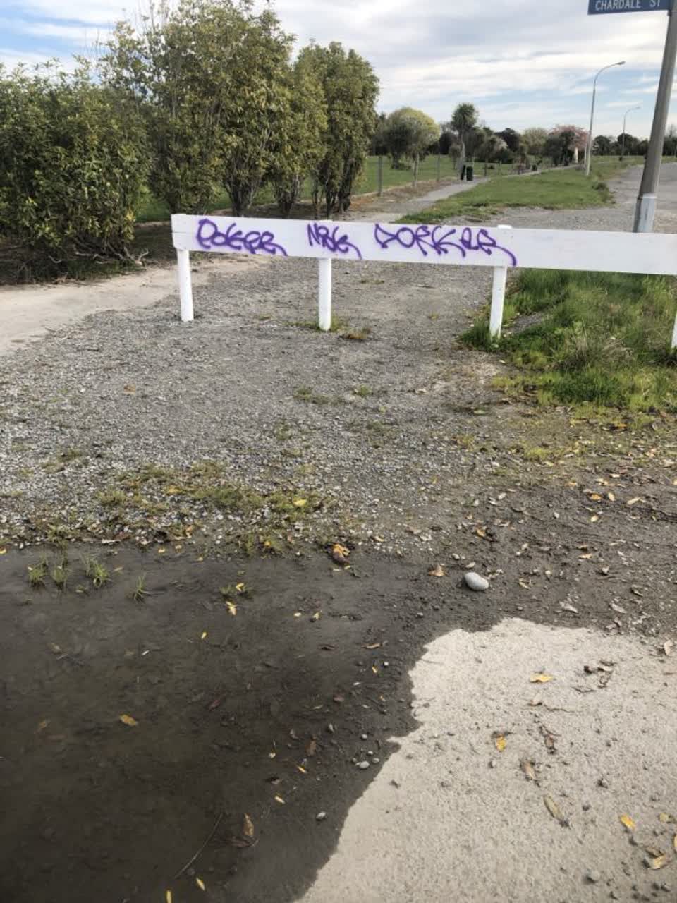 The photograph attached to this graffiti report