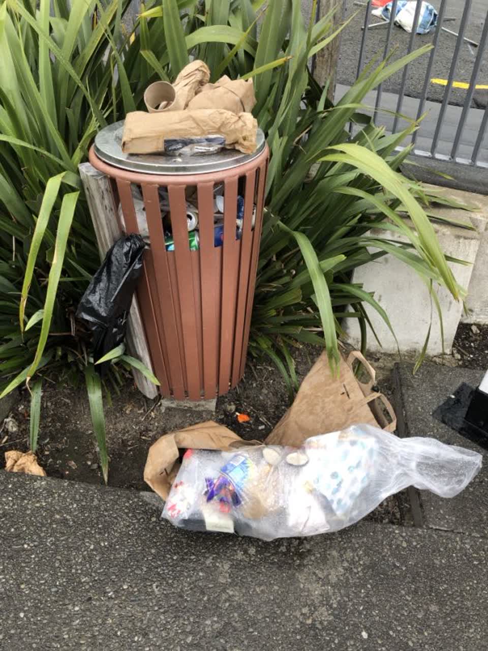 The photograph attached to this rubbish/recycling report