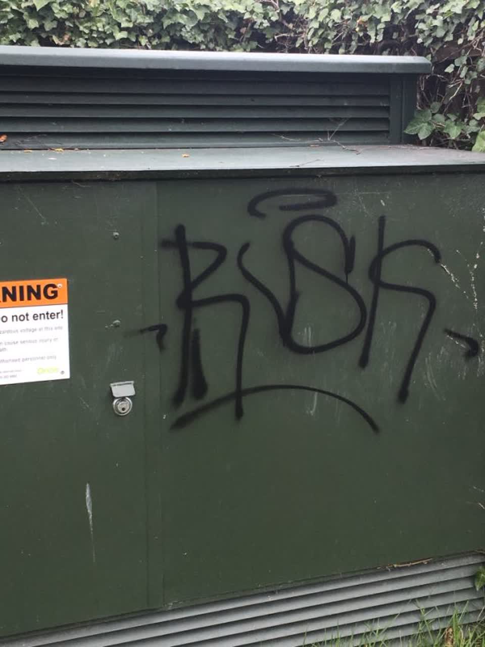 The photograph attached to this graffiti report