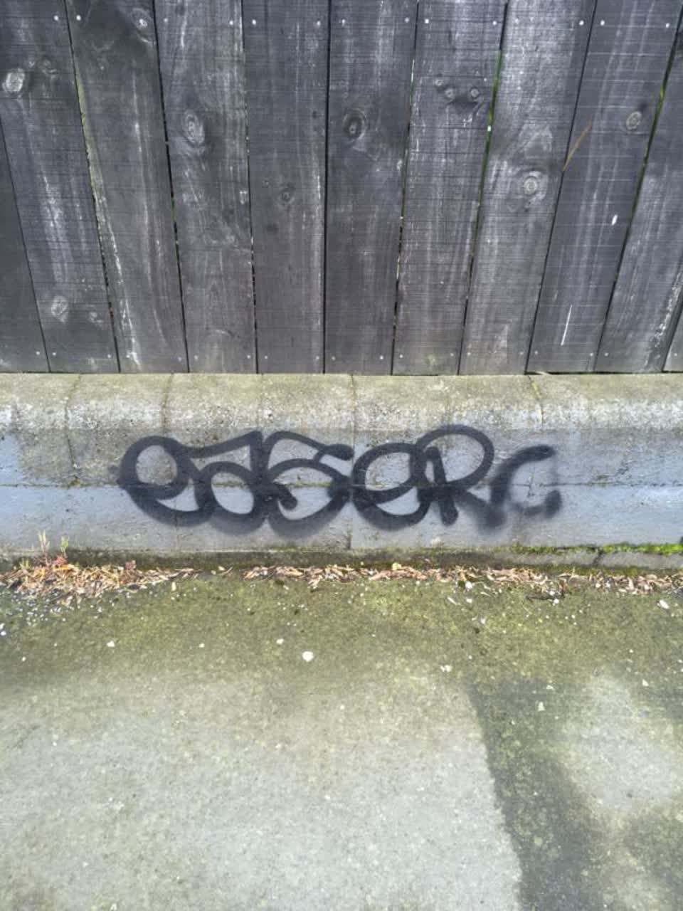 The photograph attached to this graffiti report