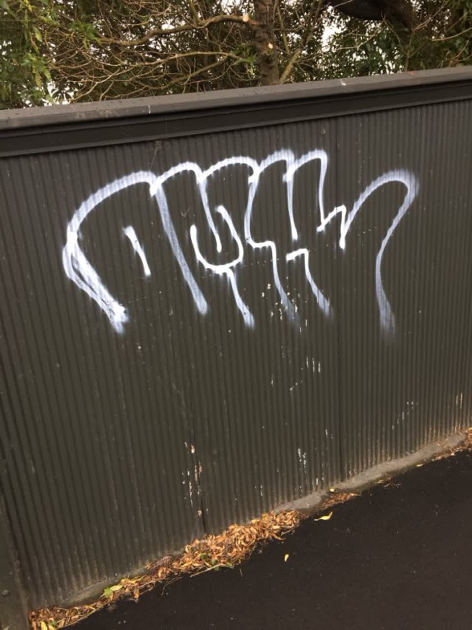 The photograph attached to this graffiti report