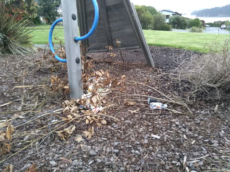 The photograph attached to this parks report