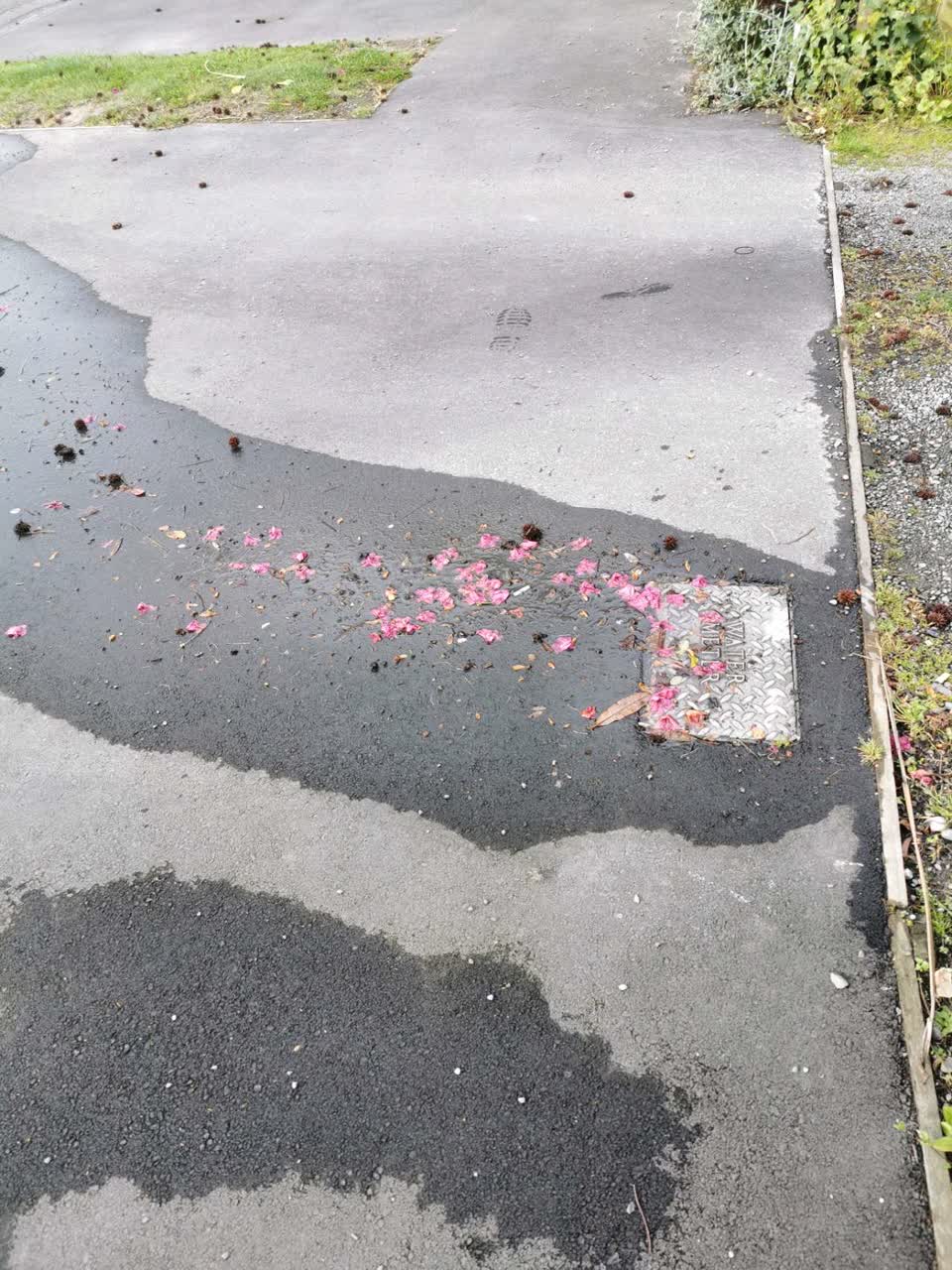 The photograph attached to this water supply report