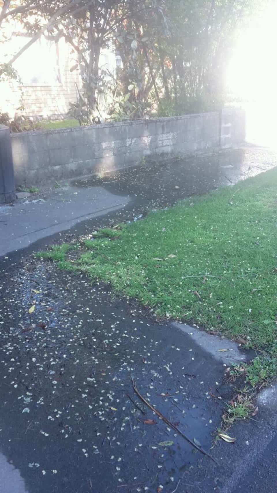 The photograph attached to this water supply report