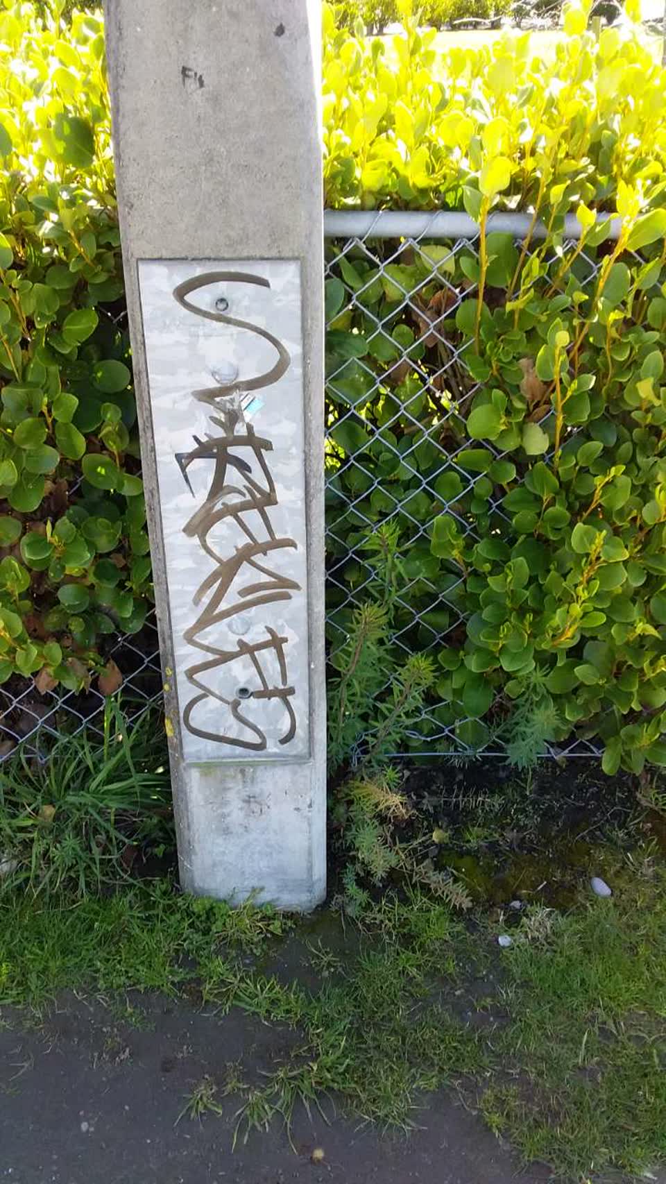 The photograph attached to this graffiti report