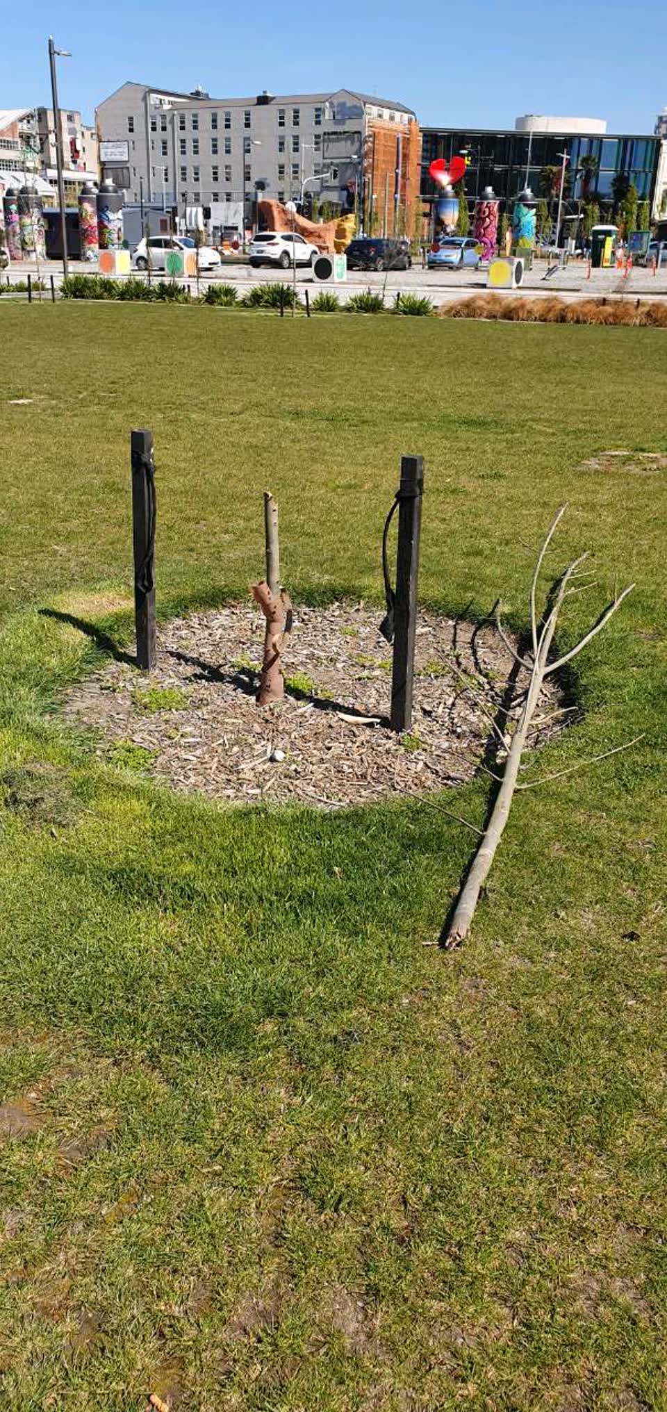 The photograph attached to this parks report