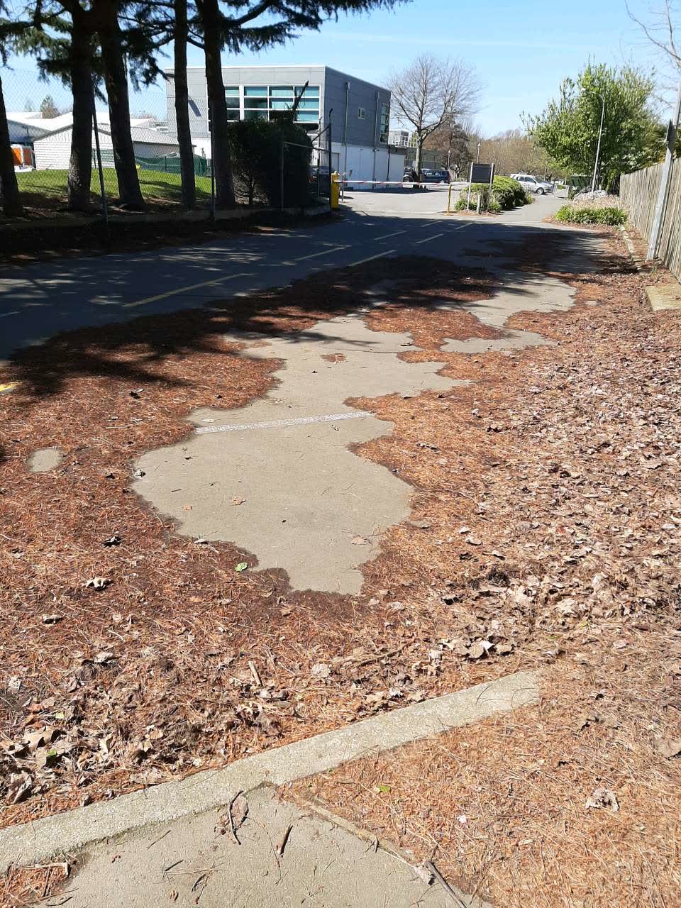 The photograph attached to this parks report