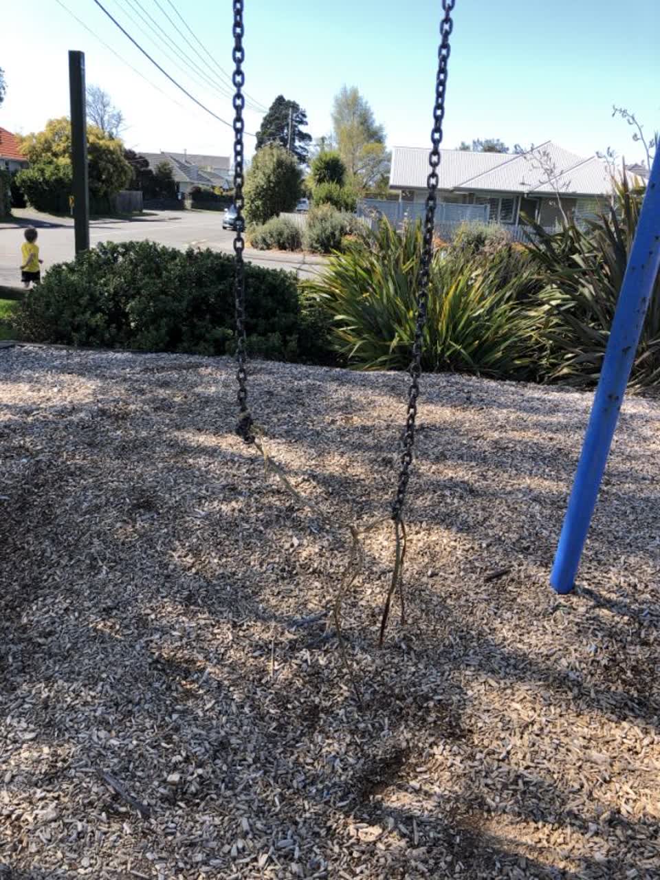 The photograph attached to this parks report