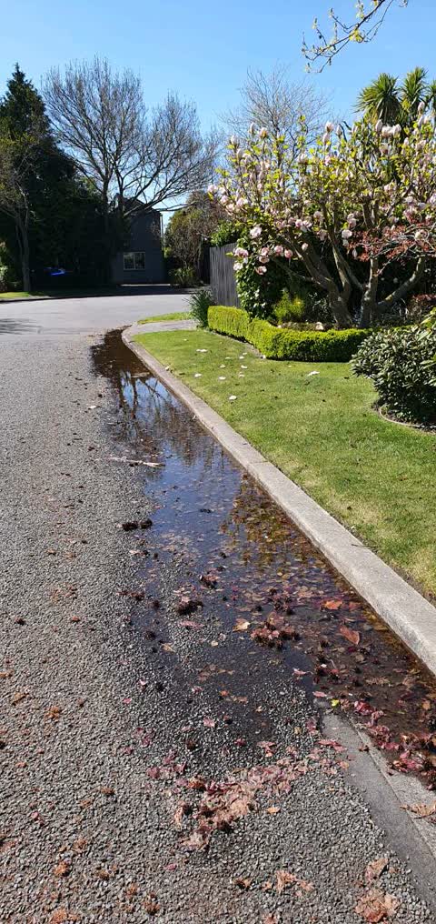 Wastewater/Stormwater, a report photo