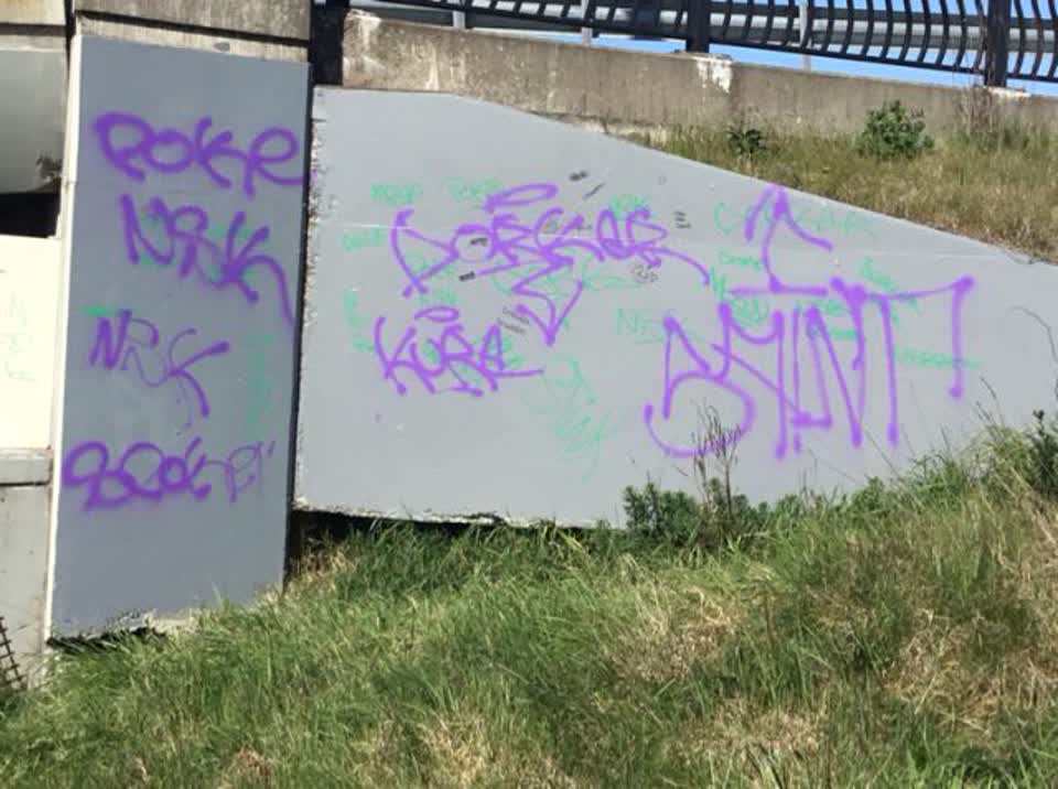 The photograph attached to this graffiti report