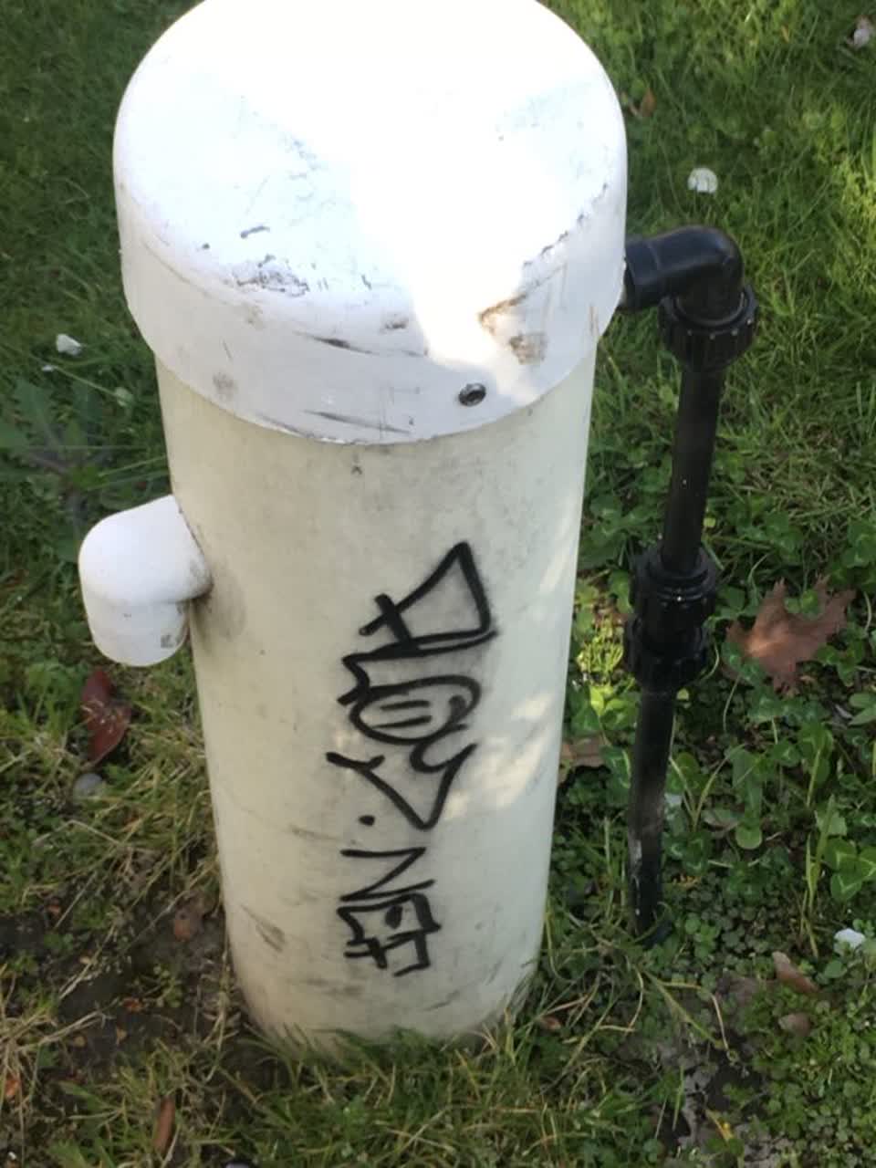 The photograph attached to this graffiti report