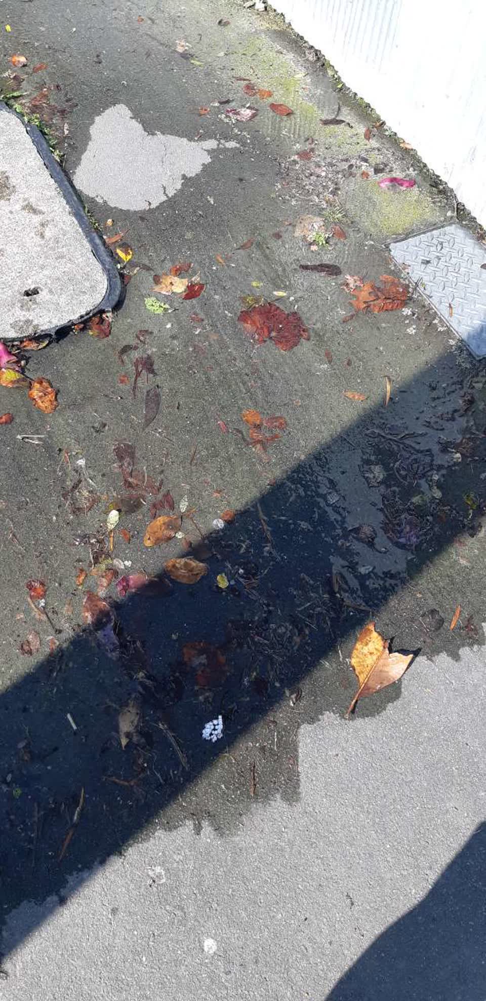 The photograph attached to this water supply report