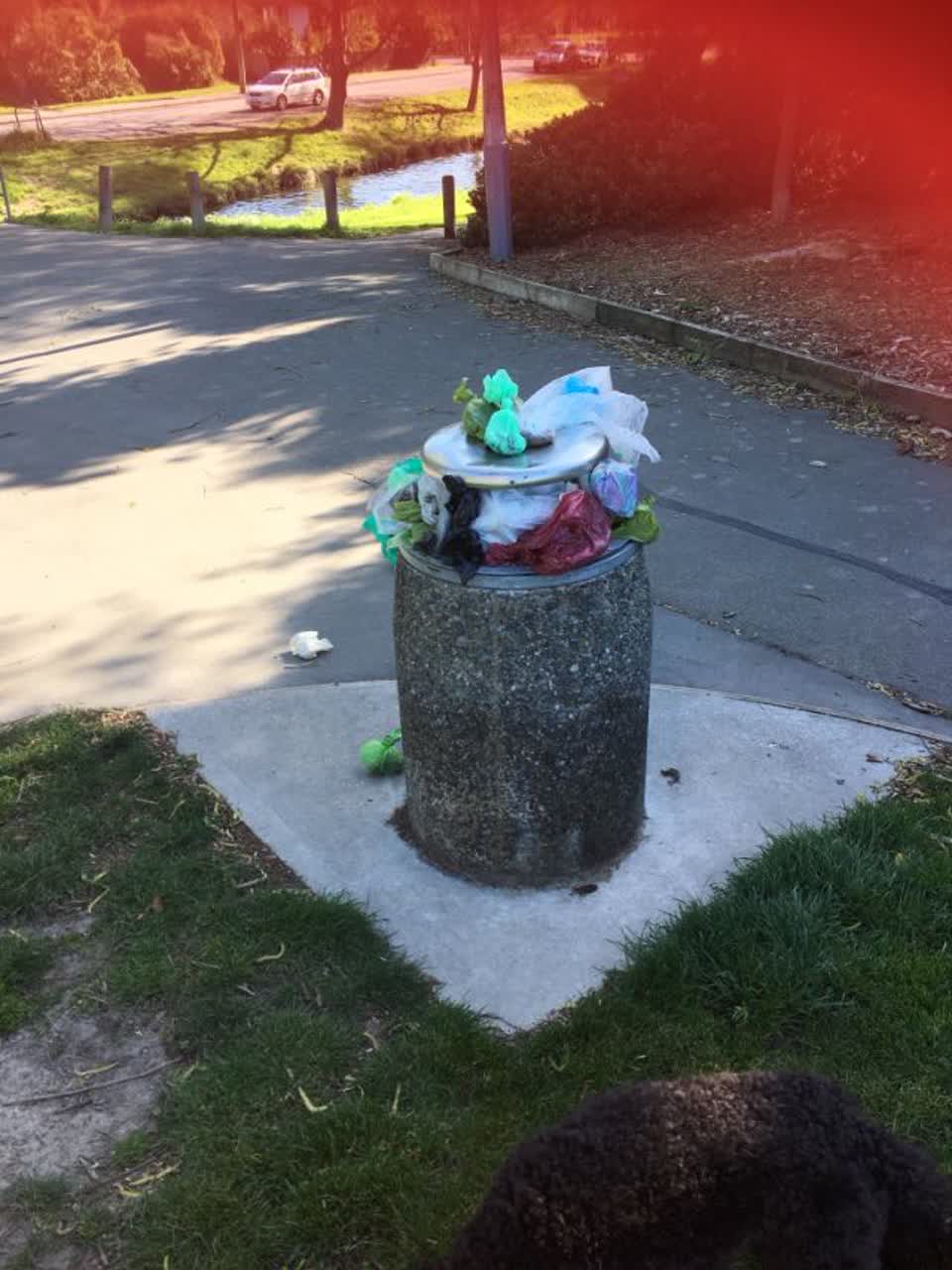The photograph attached to this rubbish/recycling report