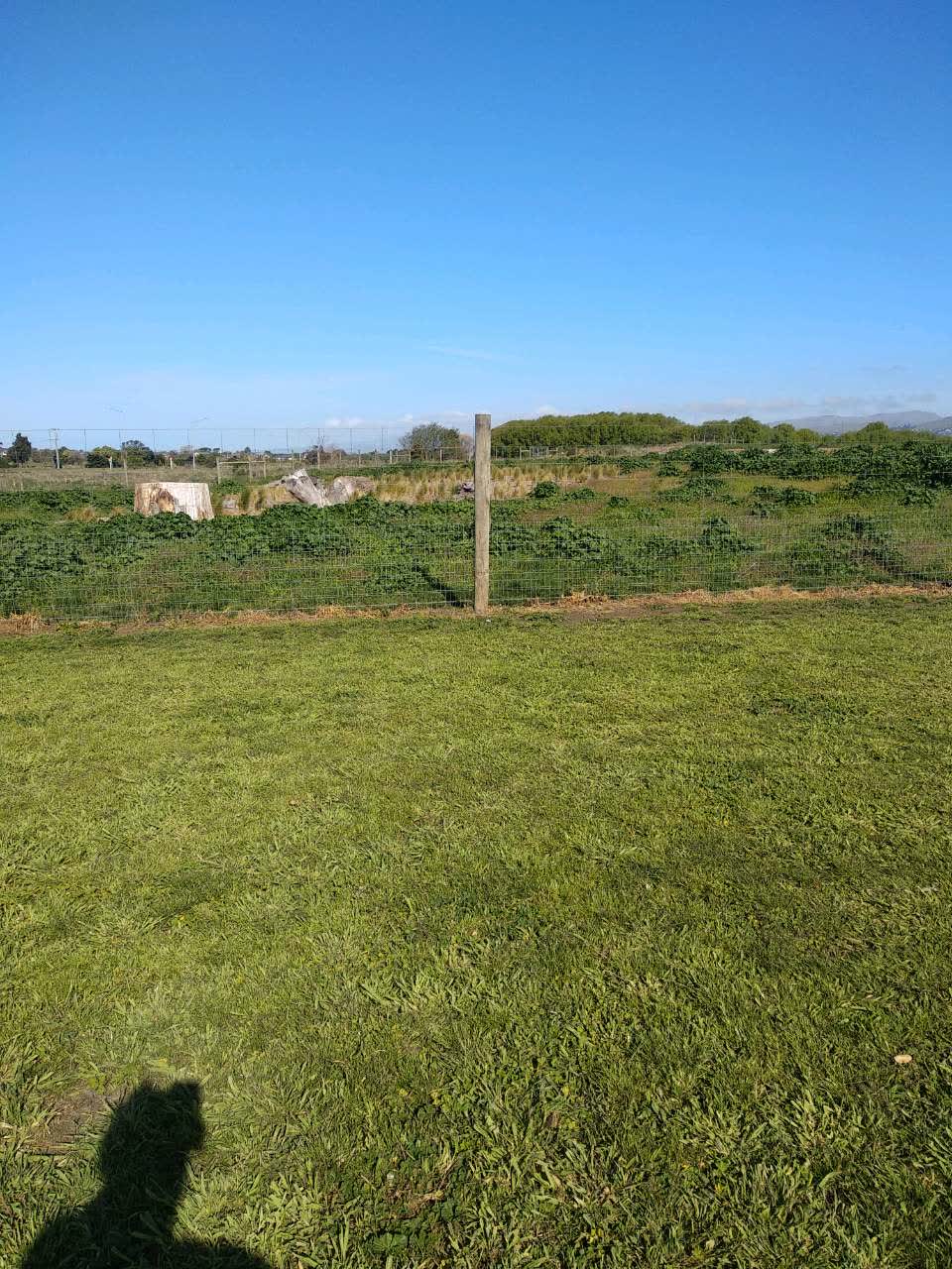 The photograph attached to this parks report
