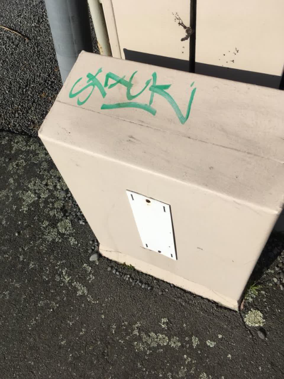 The photograph attached to this graffiti report