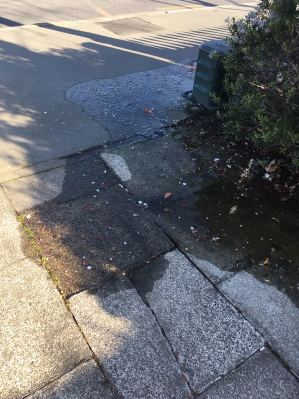 The photograph attached to this roading/streets report