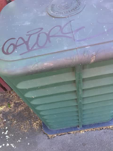 Graffiti, a report photo