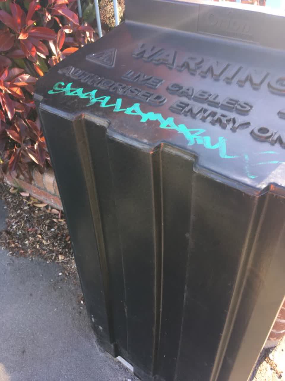 The photograph attached to this graffiti report