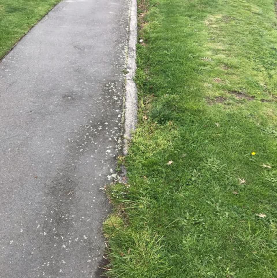 The photograph attached to this parks report