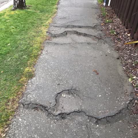 Roading/Streets, a report photo