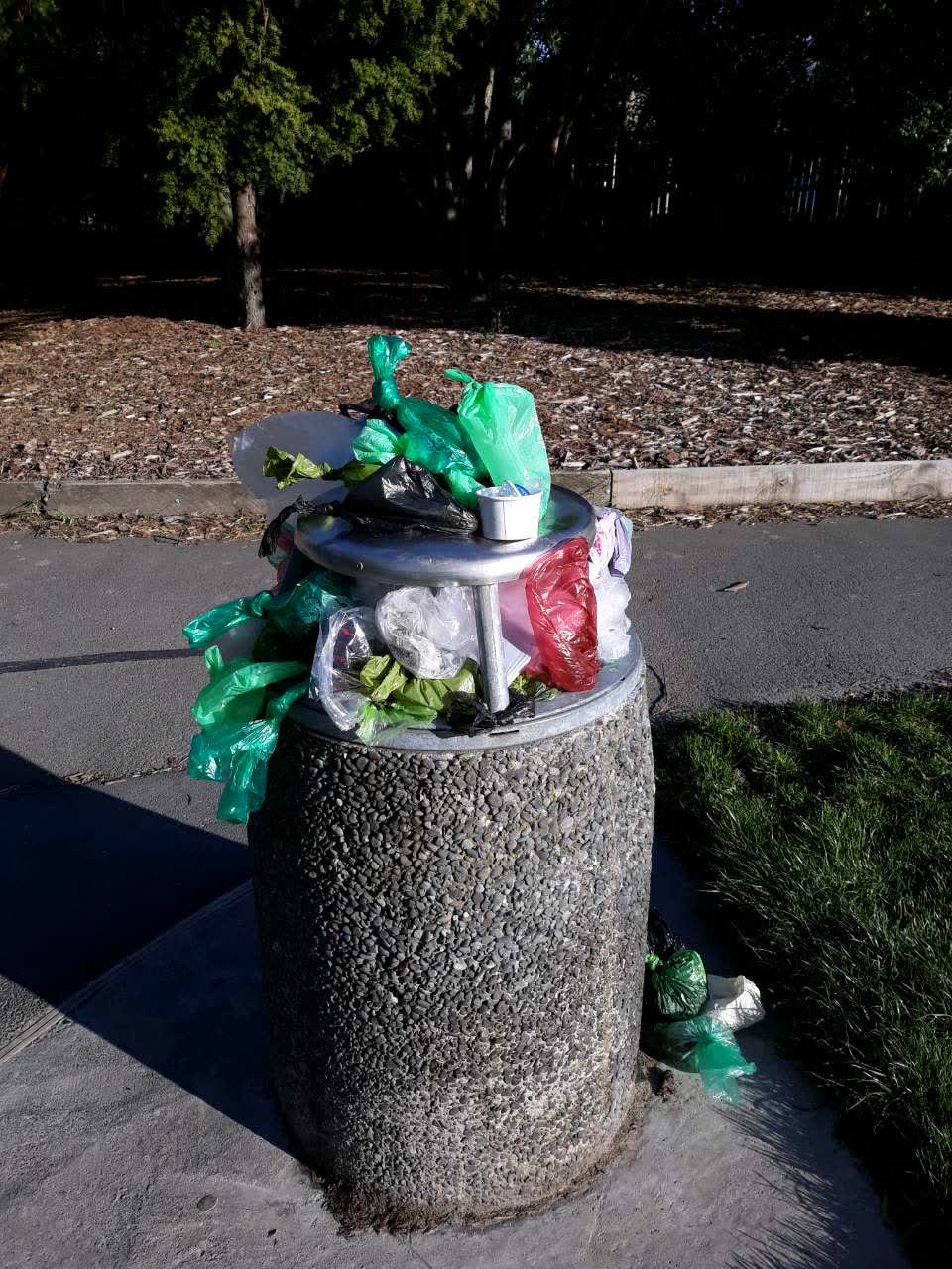 The photograph attached to this parks report