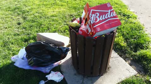 Rubbish/Recycling — a report photo