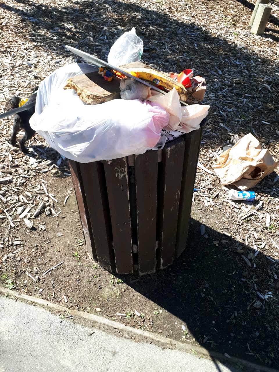 The photograph attached to this parks report