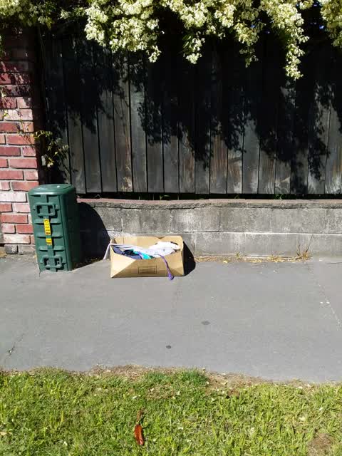 Rubbish/Recycling, a report photo