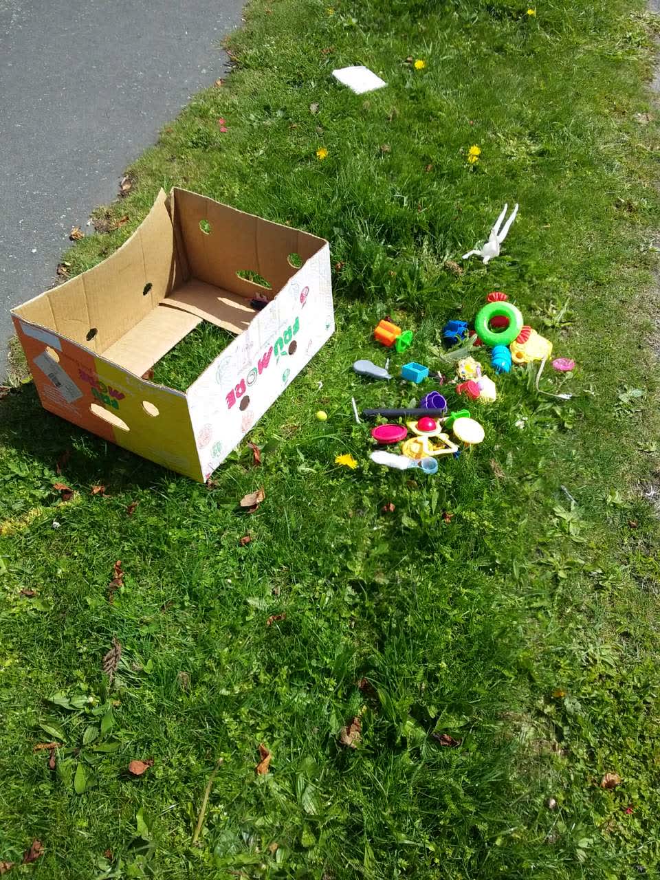 The photograph attached to this rubbish/recycling report