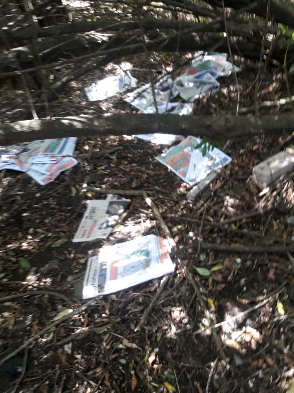 The photograph attached to this rubbish/recycling report