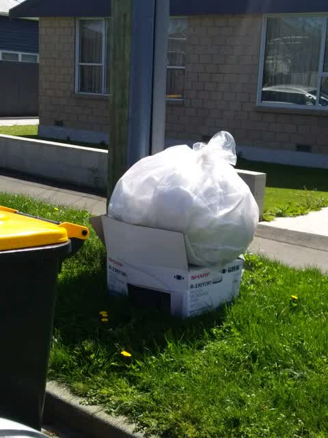 Rubbish/Recycling, a report photo