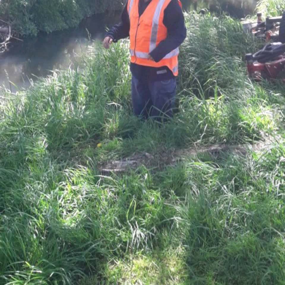 The photograph attached to this parks report