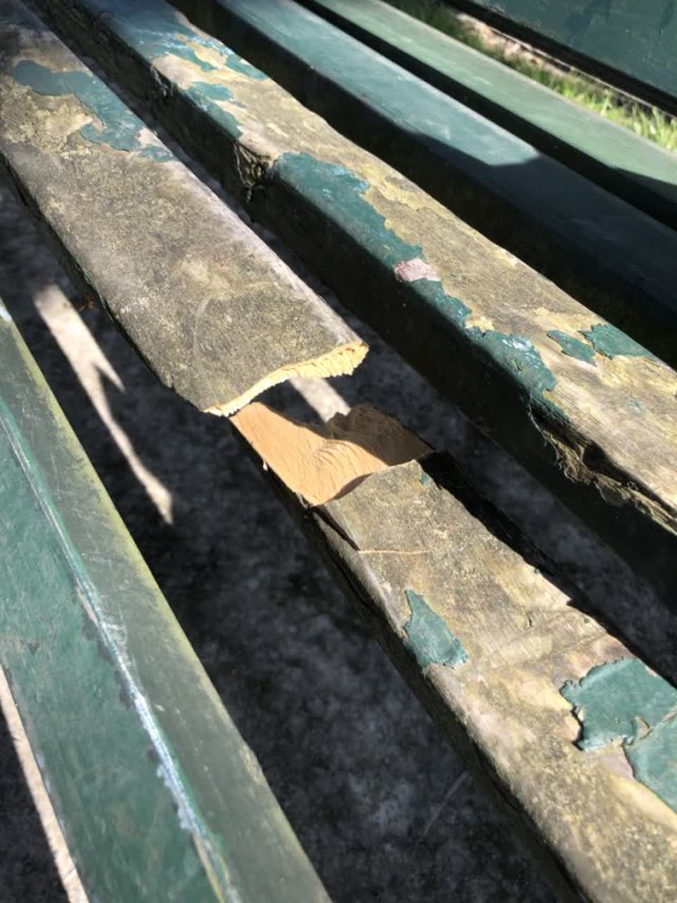 The photograph attached to this parks report