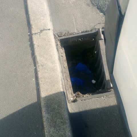 Wastewater/Stormwater, a report photo