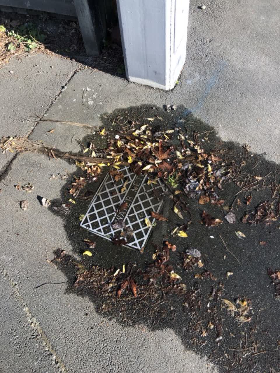 The photograph attached to this water supply report