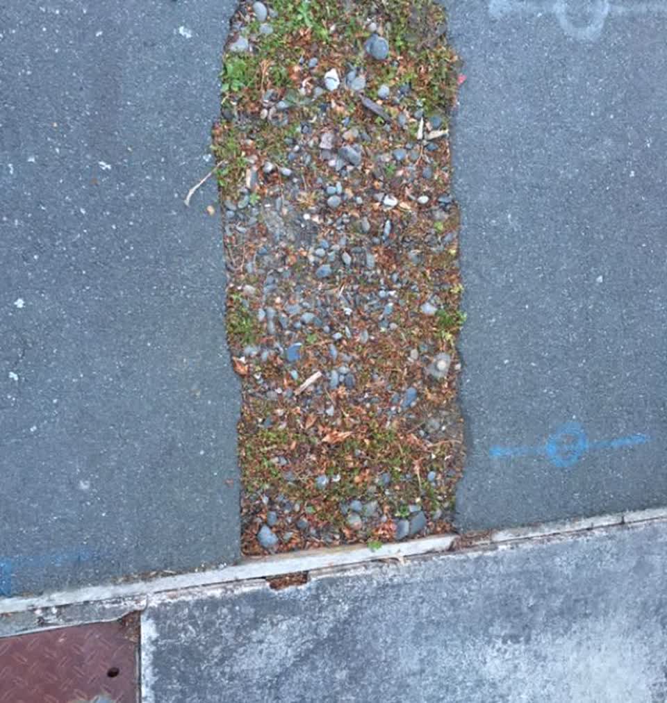 The photograph attached to this roading/streets report