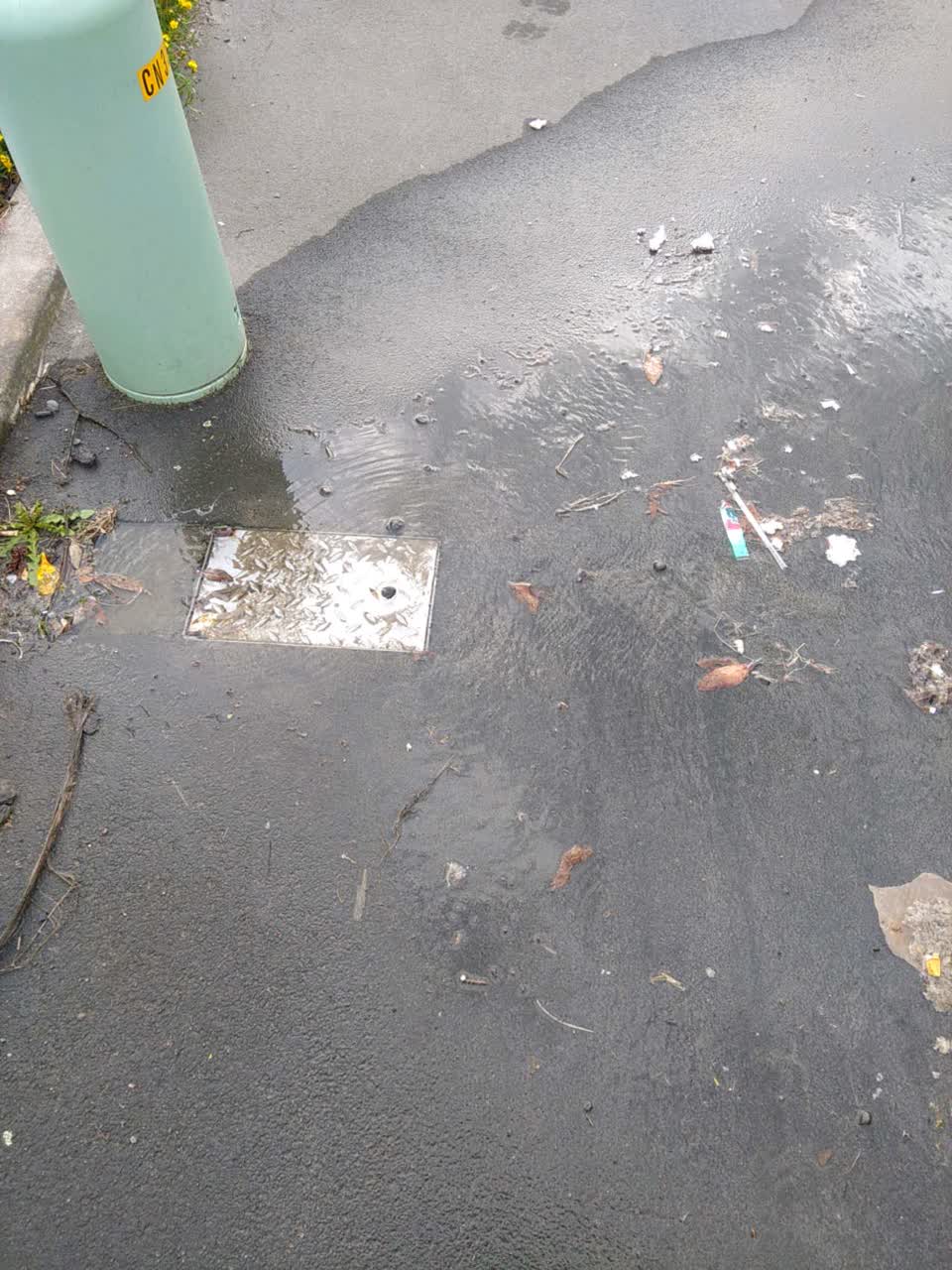 The photograph attached to this water supply report