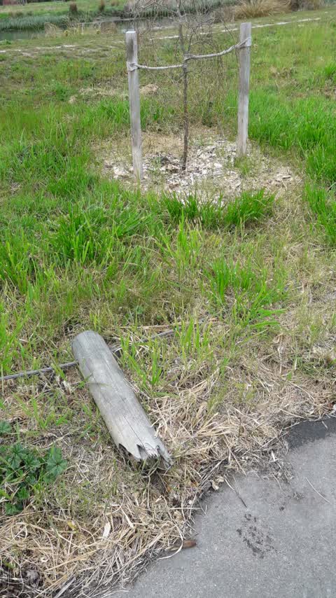 Parks, a report photo
