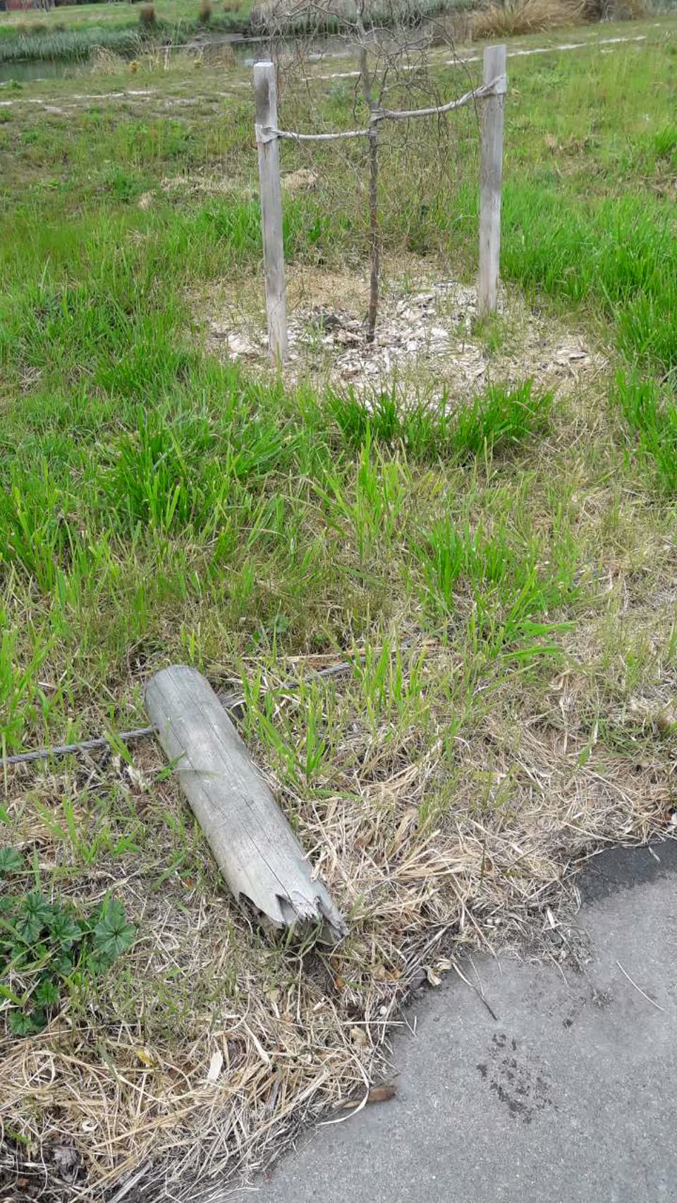 The photograph attached to this parks report