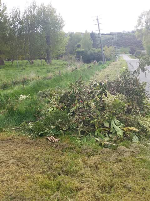 Rubbish/Recycling — a report photo
