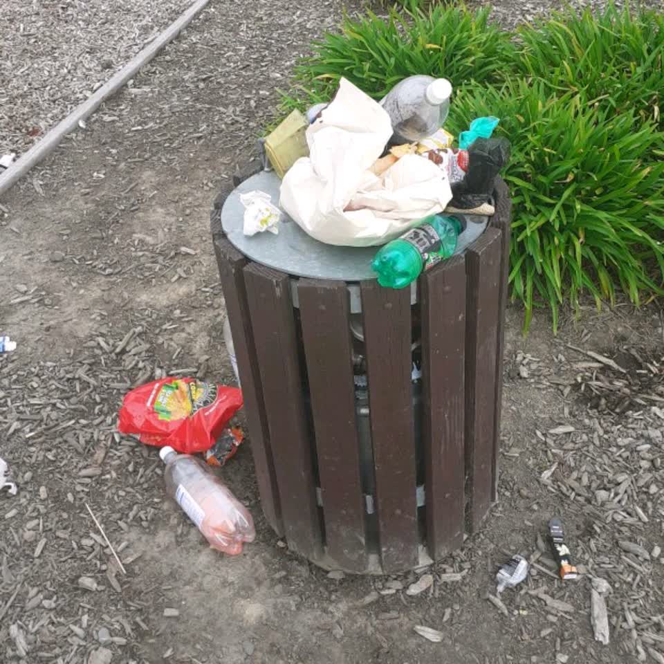 The photograph attached to this rubbish/recycling report