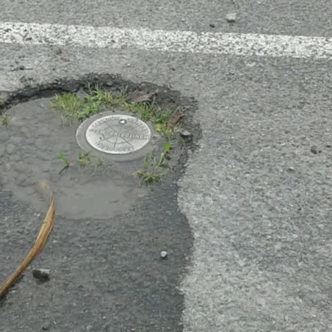 Wastewater/Stormwater, a report photo